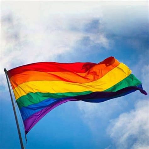 Gay Friendly Regenbogenflagge Banner Pro Lesben Gay Pride Lgbt Flagge Polyester Bunte