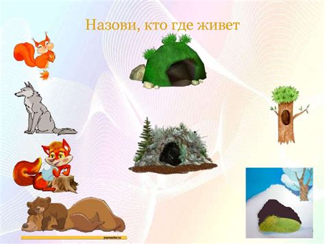 Дикие животные - презентация онлайн