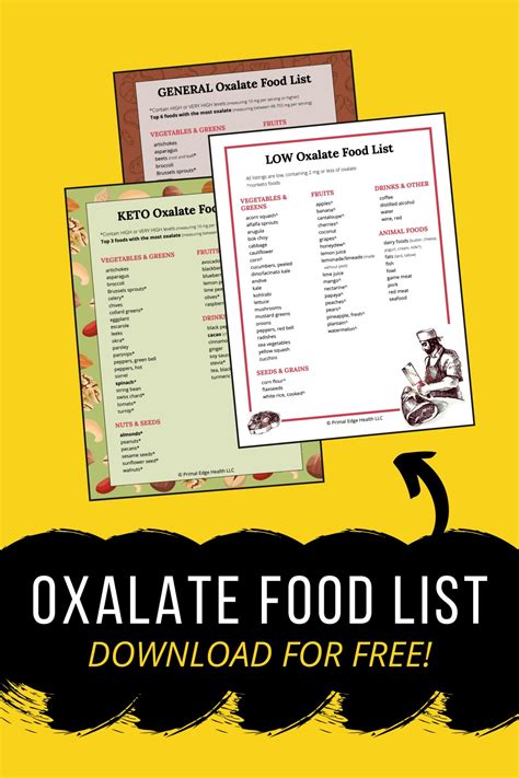 High And Low Oxalate Food List