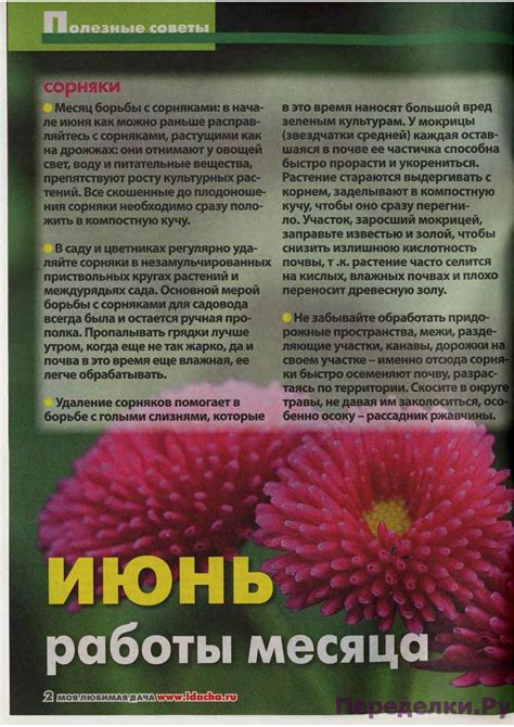 Моя любимая дача 6 2017 * Переделки.РуПеределки.Ру