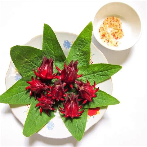 5 Hot Sexy Ange Maldonado Bikini Pics