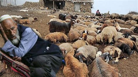 Nomadic Lifestyle In Iran Daily Routine Village Life The Village