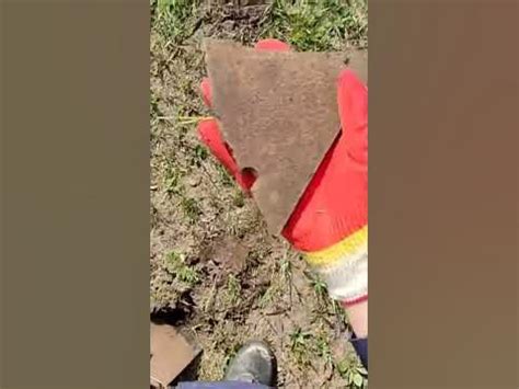 #коп #metaldetector #ст944 #тх850 #металлоискатель - YouTube