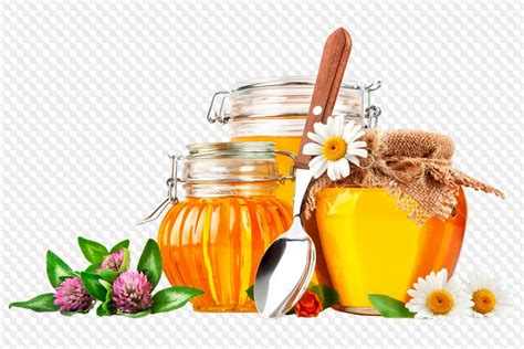 58 PNG, Мед в стеклянных банка, соты с медом, мед и пчелы на прозрачном ...