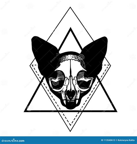 skull cat tattoo 2