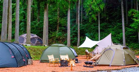 MIYAMA CAMPING FIELD | ルポの森