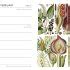 Rhs Floral Desk Diary By The Royal Horticultural Society Waterstones