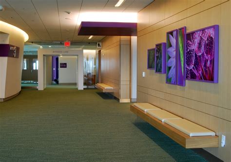 Nemours Children's Hospital - Distinctive Art Source