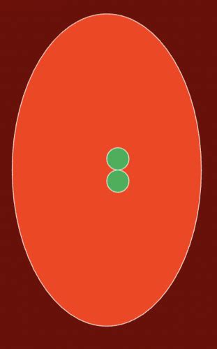 Discover How a Simple 3-Loop Structure Drives Rapid Insect Development in 4.3 11