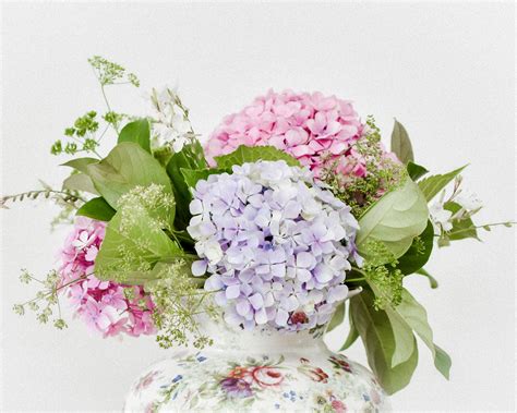 how to care for hydrangeas in vase