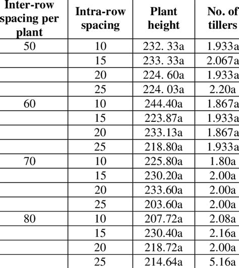 Interaction Effect Of Intra Row Spacing And Inter Row Spacing On Growth