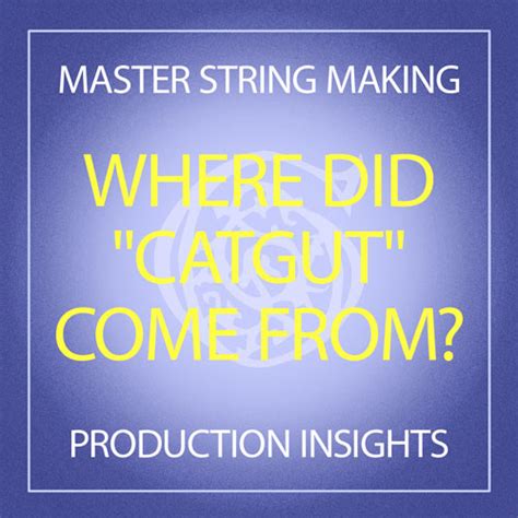 Where Did "Catgut" Come From? - Gamut Music