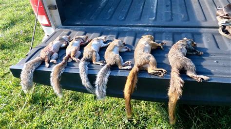 Opening Day Of Squirrel Season 2024 - Dacie Bernete