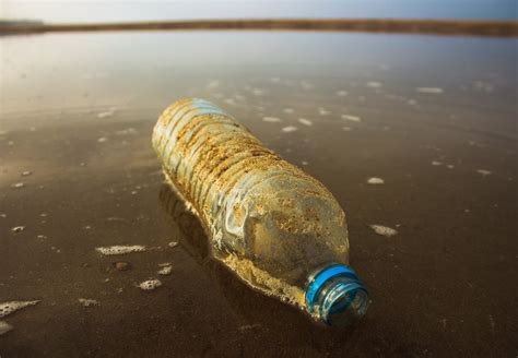 Plastic Bottle Pollution Facts Australia - Best Pictures and Decription ...