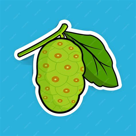 Why the noni fruit smells bad but works surprisingly well 1