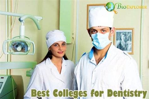 Top 14 BEST Colleges For Dentistry - BioExplorer.Net