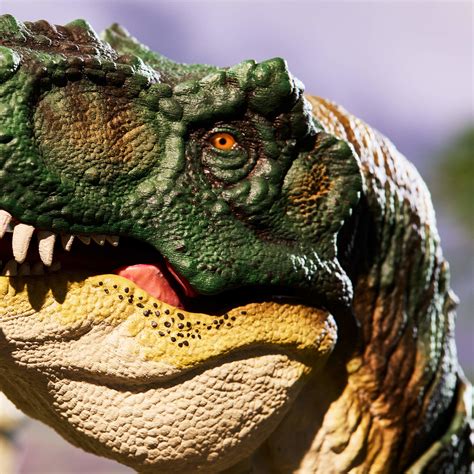 Un Set Jurassic Park Chez Hot Wheels Mininches