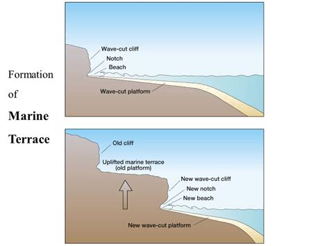 Marine Terraces