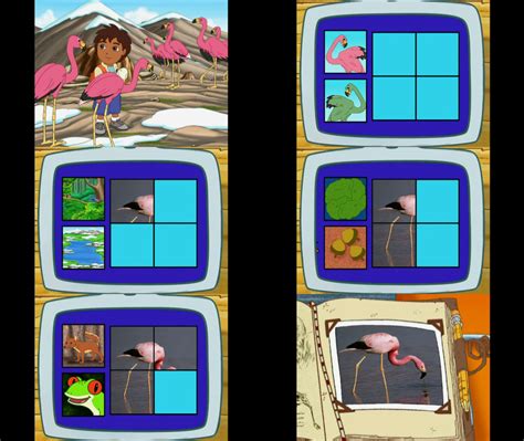 Go Diego Go Flamingo By Mdwyer5 On Deviantart
