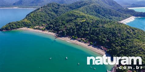 praia da almada ubatuba guia atualizado  naturam