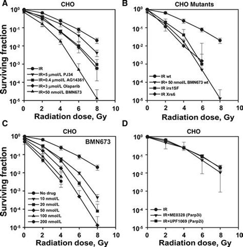 Inhibition Of Parp1 By Bmn673 Effectively Sensitizes Cells To