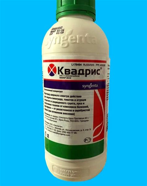 Препарат Квадрис - защита виноградника от милдью и оидиума обеспечена ...