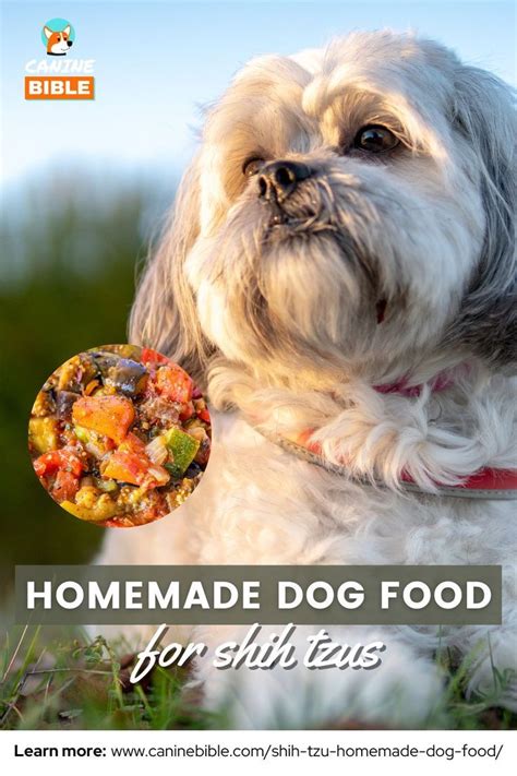 Homemade Dog Food For Shih Tzus In 2023 Healthy Dog Food Recipes Dog