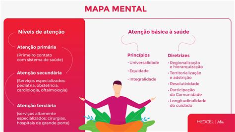 Pnab O Que Mapa Mental Princ Pios Diretrizes E Mais