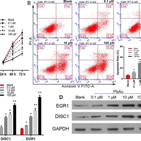 Administration Of Pbac Decreased Cell Viability And Induced Cell