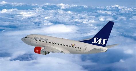 Una Aerol Nea Planea La Primera Boda Gay En El Aire Infobae