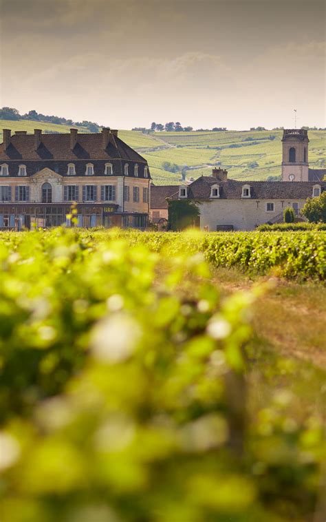 La Voie Des Vignes Toerisme In Beaune En De Regio Beaune Bourgondi