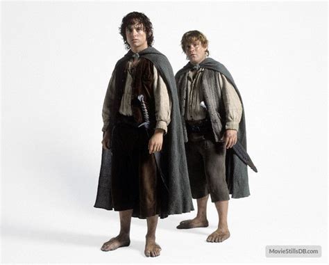 lord   rings  fellowship   ring promo deguisement