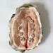 Pussy Oyster 9 Etsy