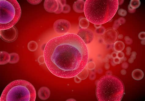 Cytology