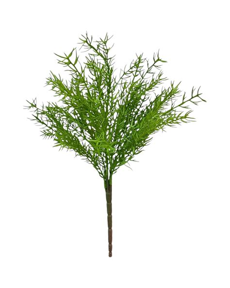 ROSEMARY BUSH 40 X7 – floristworld