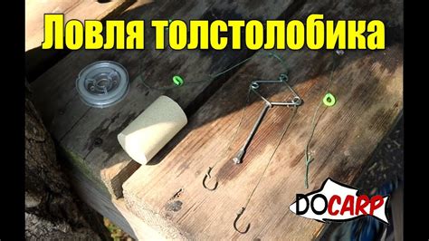 ЛОВЛЯ ТОЛСТОЛОБИКА на технопланктон водоёмом Кочеты - YouTube