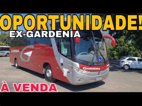 Oportunidade Ex Gardenia Paradiso G Venda Youtube