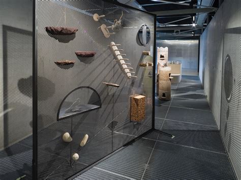 wild animal encounters compilation 9