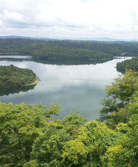 homepage convention  wetlands