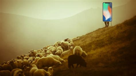 Apple запустила услугу бронирования iPhone X в розничных магазинах