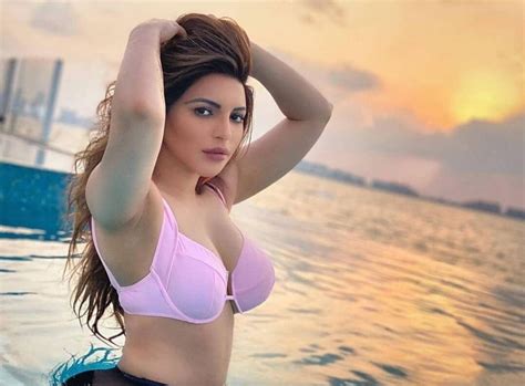 Shama Sikander Looks Sizzling Hot In These Sexy Throwback Photos Take A Look News