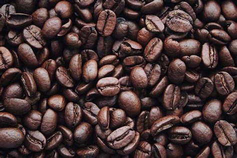rekomendasi kopi indonesia  patut dicoba bolu susu lembang