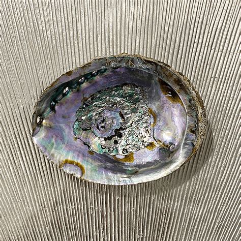 Abalone shell smudge bowl – Everybody in Mind