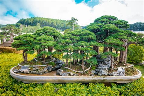 Penjing 이미지 – 찾아보기 1,114 스톡 사진, 벡터 및 비디오 | Adobe Stock