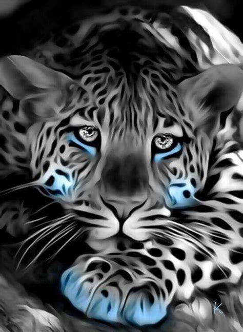 wallpaper macan kumbang  koleksi gambar
