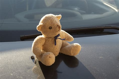 Bear Toy Teddy - Free photo on Pixabay - Pixabay