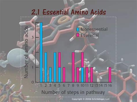 Biosynthesis Of Aminoacids Ppt