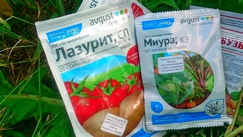 Гербициды (31 фото): что это такое? Лучшие химические средства для ...