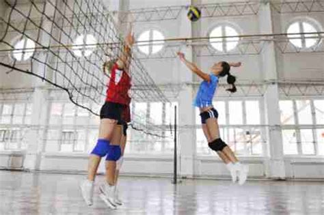 Volleyball Court Equipment - Sports Dynamix (RSA/ ZA)