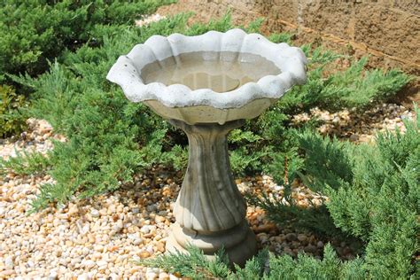 Concrete Bird Bath Kingston at Toby Ferguson blog
